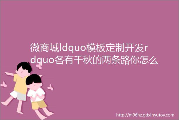 微商城ldquo模板定制开发rdquo各有千秋的两条路你怎么选