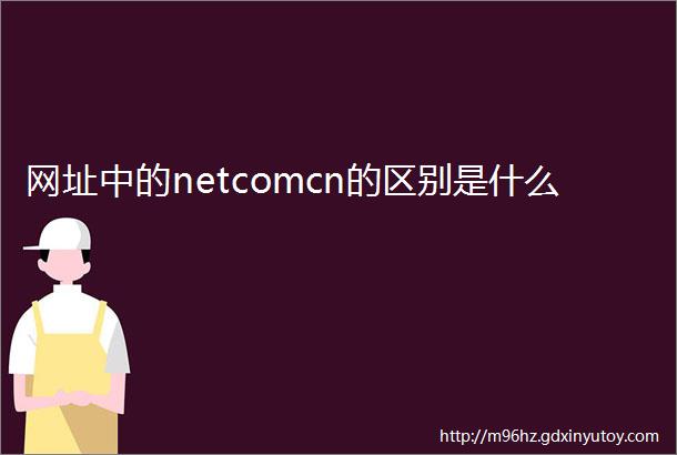 网址中的netcomcn的区别是什么