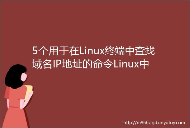 5个用于在Linux终端中查找域名IP地址的命令Linux中国